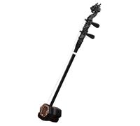 Strumento Musicale Erhu Violino Cinese A 2 Corde Erhu Con Testa Di Drago Intagliato In Legno Di Sandalo Nero Con Custodia E Accessori