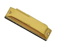 Strumento musicale professionale per armonica diatonica blues con chiave C a 10 fori, copertura per pettine per arpa Armonica Per Principianti (Color : Gold)