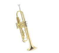 Strumento Musicale Tromba Chiave B Che Suona Tipo Strumento In Ottone Tromba Per Principianti Adulti Universale Principianti Ottone Tromba
