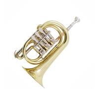 Strumento Musicale Tromba Chiave Piatta Cornetta Sib Accordatura Piatta Ottone Oro Tre Pulsanti Valvola Rotante Acciaio Inossidabile