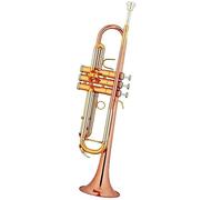 Strumento Musicale Tromba Professionale Che Suona Bocchino In Rame Fosforoso Tubo Di Cambiamento Del Suono In Rame Bianco Principianti Ottone Tromba