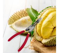 Strumento per aprire il guscio del durian, strumento per rompere la buccia del