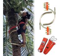 Strumento per Arrampicare L'Albero Punte Antiscivolo per La Raccolta Della Frutta, Attrezzature per L'arrampicata Sugli Alberi ad Alta Portata, Speroni per L'arrampicata Sugli Alberi(350 Model)