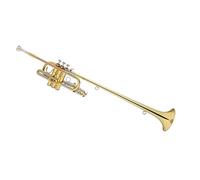 Strumento per banda di tromba versione estesa professionale per studenti principianti in Si bemolle Principianti Ottone Tromba