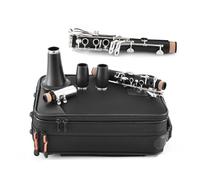 Strumento per clarinetto B con corpo durevole in bachelite sintetica in fibra di carbonio placcato in argento Clarinetto Professionale
