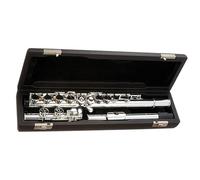 Strumento Per Flauto A Tono C Con Foro Aperto A 17 Tasti Con Superficie Placcata In Argento Con Custodia Per Il Trasporto Flauto Traverso per Principiante