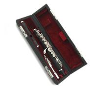 Strumento per flauto di dimensioni ridotte, accordatore C a 16 fori chiusi splendidamente placcato in argento, 2 bocchini Principiante Flauto