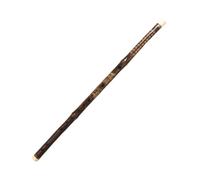 Strumento per flauto traverso professionale per principianti(F key)