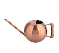 Strumento per l'irrigazione delle piante da giardino a bocca lunga da giardino innaffiatoio in acciaio inossidabile da 1000 ml(#2)