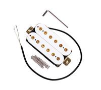 Strumento Per Pianoforte A Doppia Bobina Per Chitarra Elettrica Squisita Pickup Dual-Coil Pickup chitarra elettrica