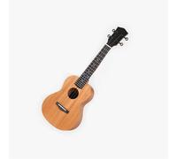Strumento Per Principianti Ukulele In Compensato Di Mogano Da 21 Pollici Ukulele Professionale