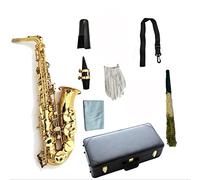 Strumento Per Sassofono Alto Placcato In Ottone EB Tune Strumento Musicale Professionale Con Accessori Per Cause Kit principianti sax