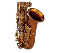Strumento Per Sassofono Contralto In Mi Bemolle, Oro E Bronzo, Esame Di Grado In Bronzo Opaco, Per Principianti, Prestazioni Professionali (Color : 02)