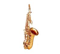Strumento Per Sassofono Saxophone, Piccola Pipa Piegata, B Bemolle, Strumento Professionale Per Principianti Per Adulti