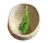 Strumento per togliere le erbe - Separatore per gambo di verdura e foglie, multiuso per togliere le foglie da cucina | Ideale per la preparazione di rosmarino, timo, erbe e spezie
