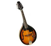 Strumento Professionale A Mandolino Singolo Completo Elettroacustico A 8 Corde Con Custodia Rigida In ABS Professionale Mandolino