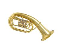 Strumento Professionale A Tre Tasti In Corno Basso In Sib Con Eufonio Strumento Professionale Eufonio(2)