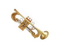 Strumento Professionale A Tromba A Pistoni Pesanti Vintage