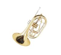 Strumento Professionale Corno Francese Corno Francese Basso In Ottone Laccato Oro Strumento Professionale Per Esibizioni Adatto Ai Principianti(5)