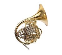 Strumento Professionale Corno Francese Esercizi Per Suonare Il Corno Francese Laccato Oro Adatti A Principianti O Adulti(3/4)