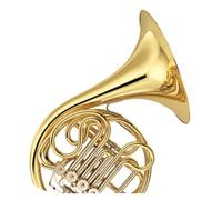 Strumento Professionale Corno Francese Il Corno Francese È Adatto A Principianti E Adulti Che Vogliono Esercitarsi Con Strumenti Da Esibizione Professionale(3)