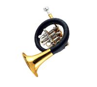 Strumento Professionale Corno Francese Il Corno In Si Bemolle È Adatto Ai Principianti Che Vogliono Esercitarsi A Suonare Strumenti(B flat key)