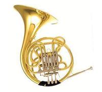 Strumento professionale per valigie con vernice dorata F Bb doppio corno francese con 4 tasti