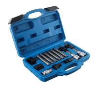 Strumento rimozione puleggia cinghia motore auto 13 pezzi set chiavi alternatore