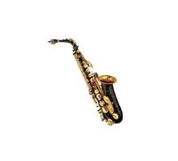 Strumento Sassofono Contralto Con Scatola E Tutti Gli Accessori In 3 Colori Kit Sassofono(Black)