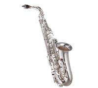 Strumento Sassofono Contralto Con Scatola E Tutti Gli Accessori In 3 Colori Kit Sassofono(Silver)