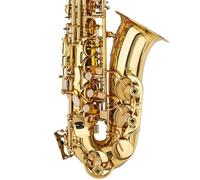 Strumento Sassofono Sassofono Contralto Drop E Sax In Ottone Kit Completo Con Custodia Per Il Trasporto Intagliata Guanti Tracolla Staccabile Tracolla Ancia(Gold)