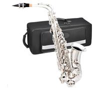 Strumento Sassofono Sassofono Contralto Mi Bemolle Kit Completo Con Custodia Per Il Trasporto Guanti Bianchi E Attrezzi(Silver)