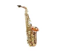 Strumento Sassofono Sassofono Mi Bemolle Alto Strumento Di Prova Di Valutazione Configurazione A Doppia Costola In Oro Ricco
