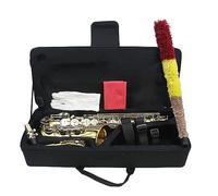 Strumento Sax Mi Bemolle In Mi Bemolle In Ottone Laccato Oro Con Accessori Per Bocchino Sassofono per principianti Kit