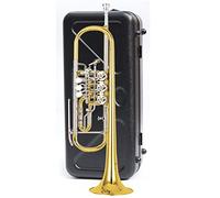 Strumento Tromba A Tre Toni, Bugle, B, Adatto Per Principianti, Giovani Pionieri E Team Di Corno Di Tamburo Professionale (Color : 6)