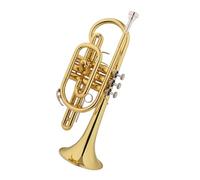 Strumento tromba Cornetta Si bemolle esecuzione professionale tromba strumento musicale