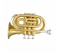 Strumento Tromba Cornetta Tascabile Professionale In Si Bemolle Tromba Portatile Strumento In Ottone In Acciaio Inossidabile Standard