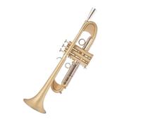 Strumento Tromba In Ottone In Sib Con Tutti Gli Accessori Tromba Professionale