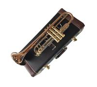 Strumento Tromba In Si Modello Da Esibizione Placcato Oro Pesante Con Bocchino Tromba Professionale