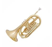 Strumento Tromba Lacca Dorata Artigianato Ottone Materiale B-tono Ridotto Squisito Professionale Standard Strumento Tromba Per Principianti