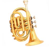 Strumento Tromba Laccatura Oro Corpo In Ottone Tromba Tascabile Tono Sib Strumento Tromba Standard In Acciaio Inossidabile