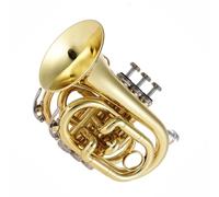 Strumento Tromba Mini Tromba Tascabile Sib Flat Strumento A Fiato In Ottone Guanti Custodia Per Il Trasporto Tromba Standard Per Principianti