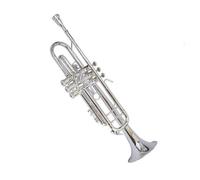 Strumento Tromba Placcato Argento In Si Bemolle Laccato Oro Livello Di Esecuzione Principiante Adulto Tromba Professionale(Silver)