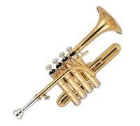 Strumento Tromba Professionale Cupronichel Di Grado Popolare Con Tromba Piccola In Lacca Dorata Con Pistone Nichelato