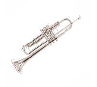 Strumento Tromba Professionale In Si Bemolle Tromba In Alpacca Modello Argento Acciaio Inox Principiante Tono Pieno