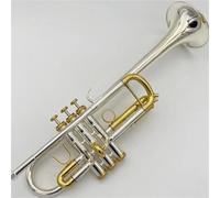 Strumento Tromba Professionale Principianti Di Strumenti A Tromba Professionali Con Chiave C Placcati In Oro Placcati In Argento Per Suonare Uno Strumento A Tromba In Ottone A Livello Di Esame(B)