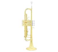 Strumento Tromba Professionale Set Di Trombe Standard In Sib Dorato Strumenti A Tromba Per Principianti In Ottone Con Kit Di Guanti A Scatola(Set)