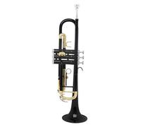 Strumento Tromba Professionale Set Di Trombe Standard In Sib Nero Strumenti A Tromba Per Principianti In Ottone Con Kit Di Guanti A Scatola(Trumpet)