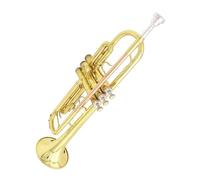 Strumento Tromba Professionale Set Tromba B Bemolle Classico Per Strumenti In Ottone Per Principianti Tromba In Ottone