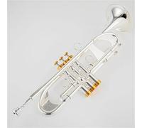 Strumento Tromba Professionale Strumenti Musicali Professionali Con Chiave Dorata In Argento Tromba Piccola In Sib Con Custodia